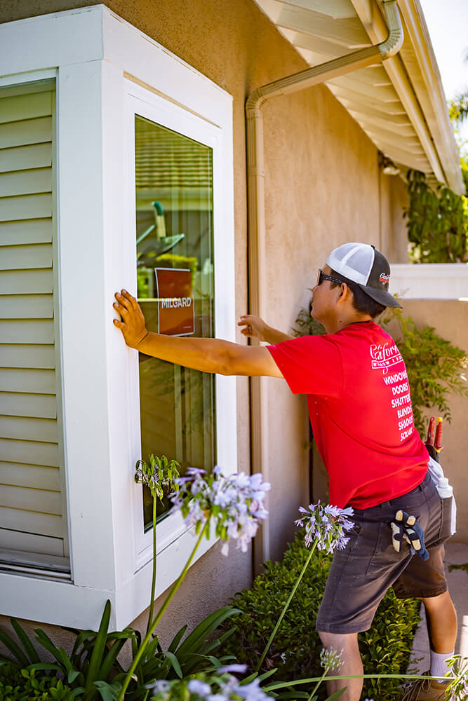 cg-window-style-line-03